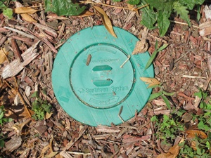Termite Baiting system